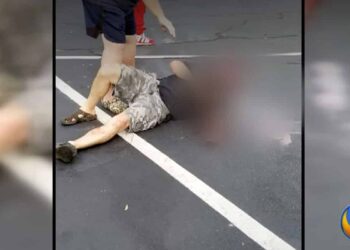 Concealed Carrier Pistol-Whips Man That Was Ramming Cars with His Truck