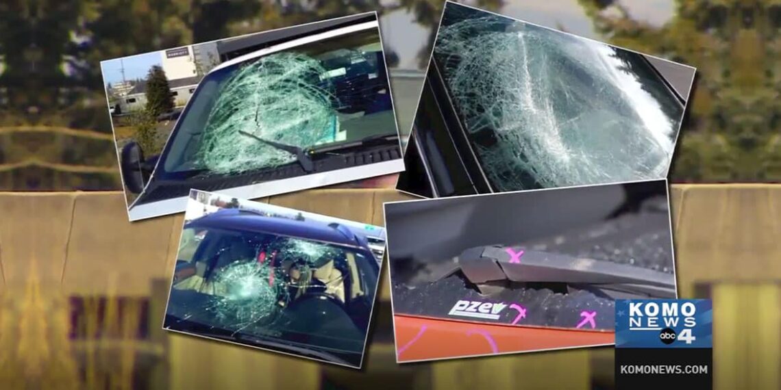 Concealed Carrier Stops Freeway Attacker Without Firing a Shot