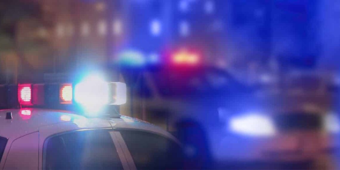 Concealed Carriers 2 - Attempted Robbers 0 | In Two Separate Incidents