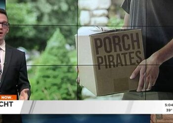 Armed Citizen Confronts Package Thieves