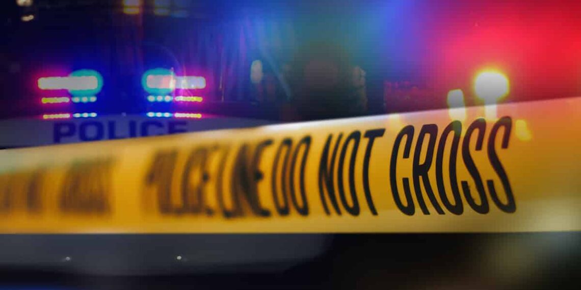 Concealed Carrier Shoots and Kills Robbery Suspect During Late Night Cookout