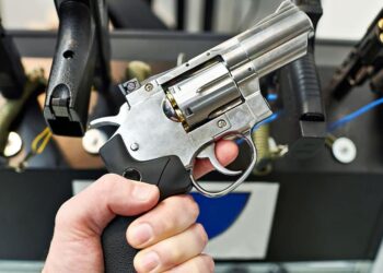 NEWS FLASH: You Can't Just Buy Guns Online