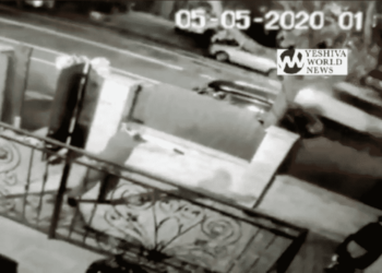 [VIDEO] Armed Queens Man Confronts Suspected Burglars on His Property
