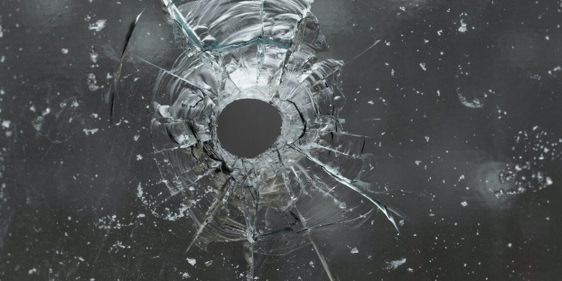 Homeowner Sees Break-in On Phone App, Confronts Them Through Window, Shoots and Kills One