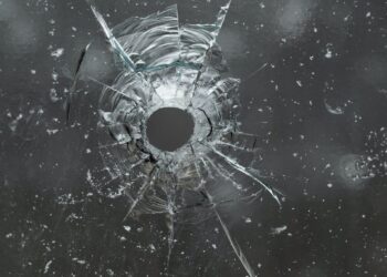 Homeowner Sees Break-in On Phone App, Confronts Them Through Window, Shoots and Kills One