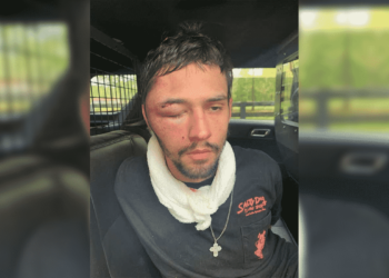 Homeowner Stops Burglary, Fires Warning Shots, Chases Down & Badly Beats Suspect