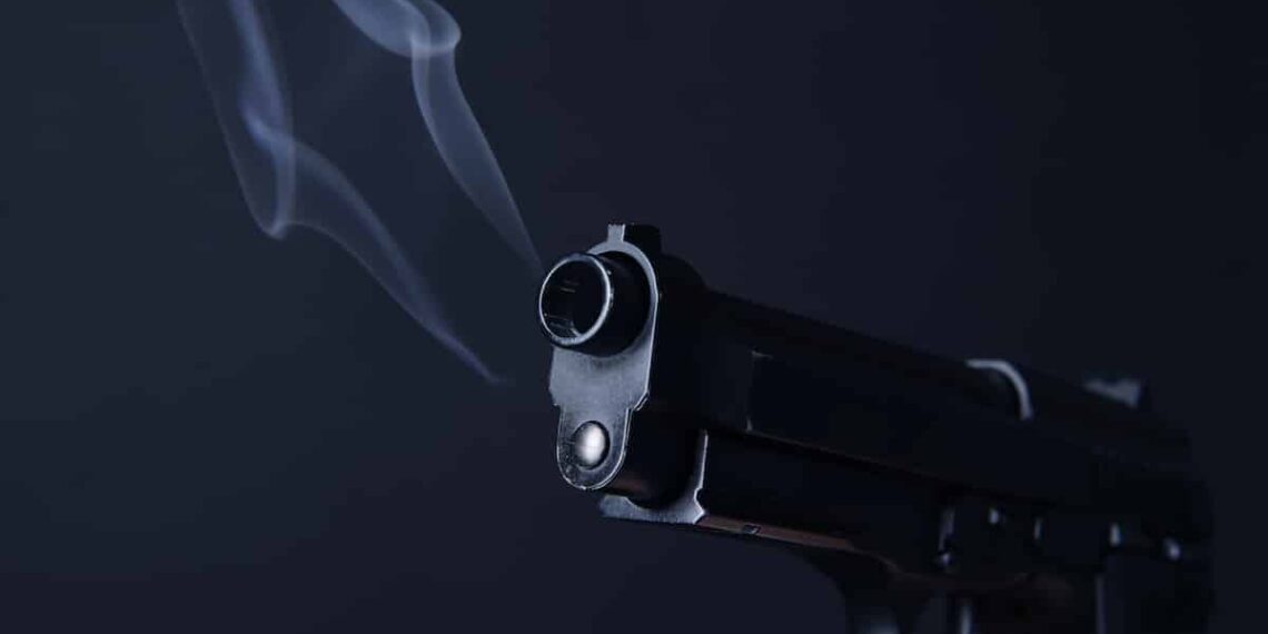 Pregnant Woman Thwarts Attack, Shoots Intruder In Shoulder