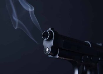 Pregnant Woman Thwarts Attack, Shoots Intruder In Shoulder