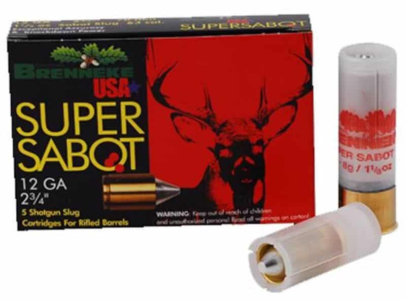 Sabot Slug