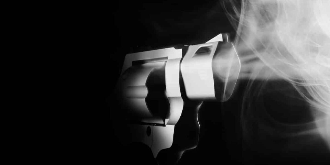 Omaha Homeowner Shoots Armed Robber Trying To Steal His Dogs