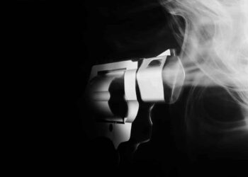 Omaha Homeowner Shoots Armed Robber Trying To Steal His Dogs