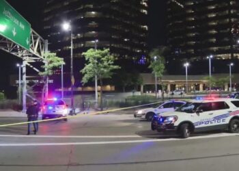 Woman with CCW Shoots and Kills Man with Knife During Road Rage Incident
