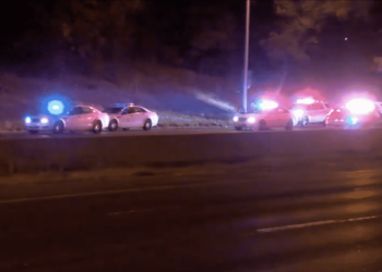 Carjacking Victim Exchanges Gunfire With Attackers, Takes Rounds But Expected To Live