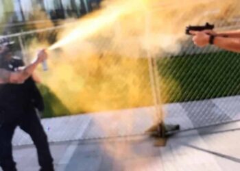 Private Security Guard Shoot & Kills Protester After Being Pepper Sprayed