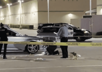Son Shoots, Kills Man that Groped His Stepmom and Knocked Out His Dad