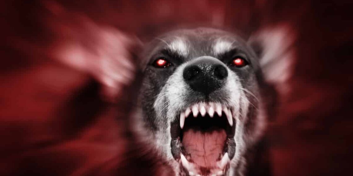 Self-Defense Against Animals: What Are the Rules?