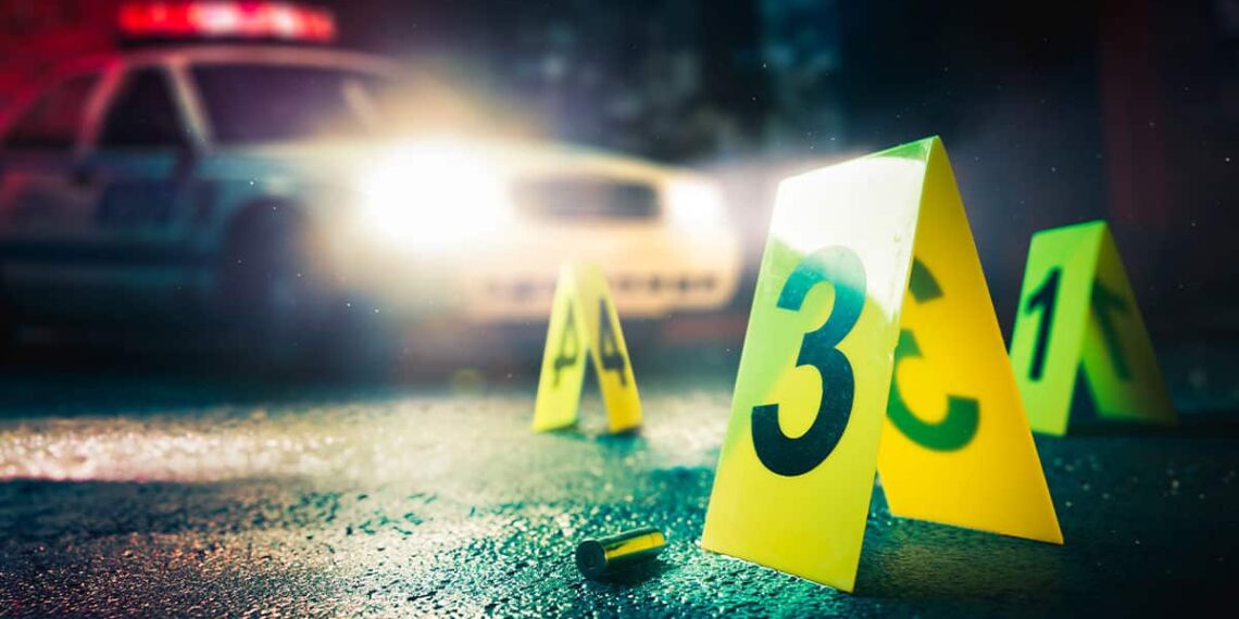 Concealed Carrier Shoots and Kills 7X Convicted Felon Shooting Into a Crowd