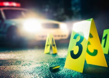 Concealed Carrier Shoots and Kills 7X Convicted Felon Shooting Into a Crowd