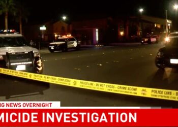 Las Vegas Man Forced To Shoot Roommate After Knife Attack