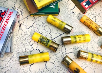 The Problem with 20 Gauge for Home Defense