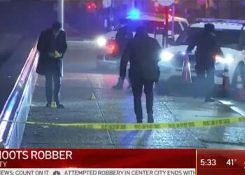 Crime Spree Ends Bad; Armed Citizen Shoots Back, Hitting 1 Suspect in the Head