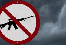 I-1639 Is What Happens When Idiots Write Gun Control Laws I-1639 Is What Happens When Idiots Write Gun Control Laws