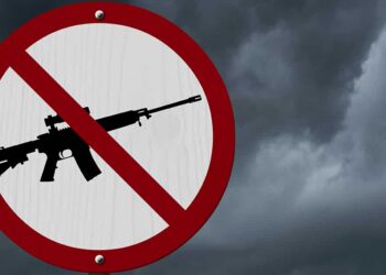 I-1639 Is What Happens When Idiots Write Gun Control Laws