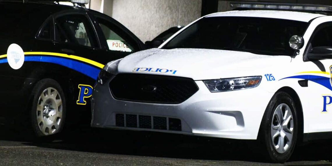 19-Year-Old Shot After Attacking and Strangling Multiple People in Apartment