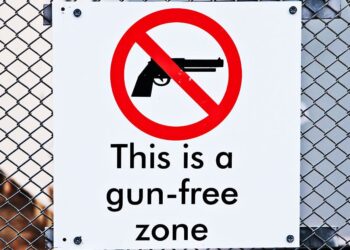 Dad Pulls CCW in Gun-Free Mall After Gunfire Erupts