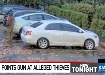 Homeowner Discovers Catalytic Converter Thieves; Holds Them At Gunpoint For Police