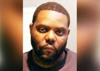 Intoxicated Concealed Carry Holder Points Weapon at Police; Released on Bail