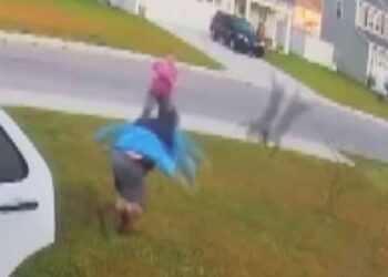 [WATCH] Husband Saves Wife from Rabid Bobcat That Attacked Multiple People