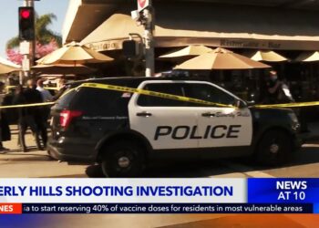 Beverly Hills Robbers Get Away with 400K Watch as Victim Takes Gun & Fires Back