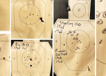 Making Sense of Shotgun Patterns