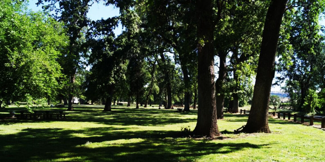 Supervisors Considering Allowing Concealed Carry in Tehama County Parks