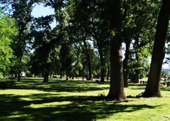 Supervisors Considering Allowing Concealed Carry in Tehama County Parks