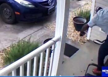 Woman Defends Family After Kid's Father Breaks in with Knife