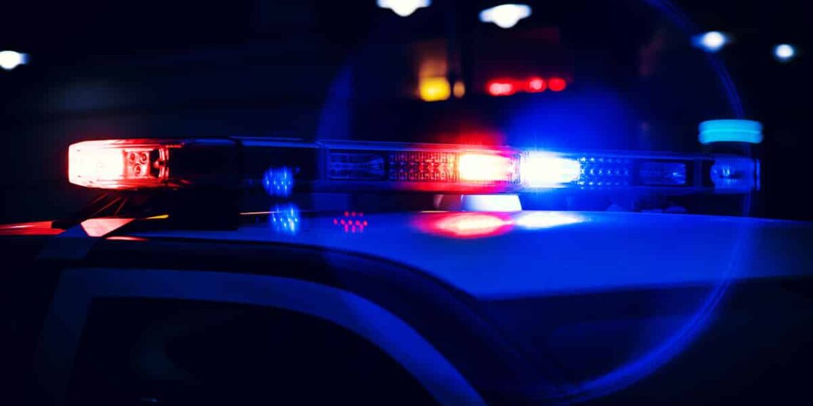 Woman Holds Burglar at Gunpoint After Firing a Warning Shot