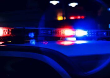 Woman Holds Burglar at Gunpoint After Firing a Warning Shot