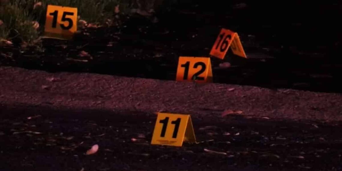 Man Gets Into Shootout When Checking on a "Noise Outside"