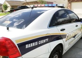 Woman Shoots Ex-Boyfriend to Death After Being Head-butted and Choked