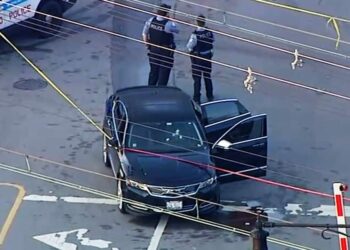 Concealed Carrier Shot After Hit-and-Run Incident Turns Into Shootout