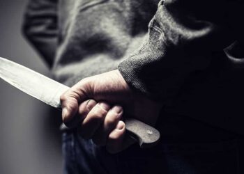 Grandparents Stabbed by Grandson Before One Shoots Him