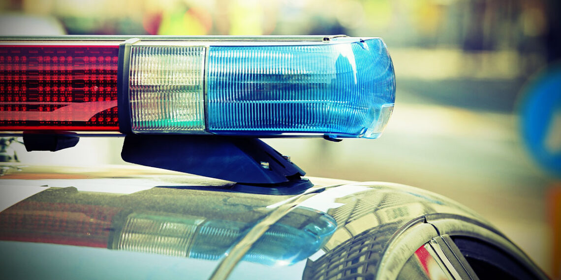 Concealed Carrier Fatally Shot After Confrontation With Driver While Walking His Dog