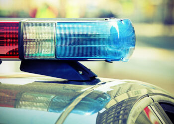 Concealed Carrier Fatally Shot After Confrontation With Driver While Walking His Dog