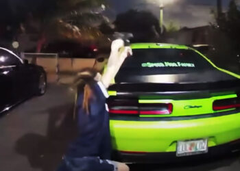 Insane Gunfight Between Woman and Dog Thieves Caught on Ring Camera