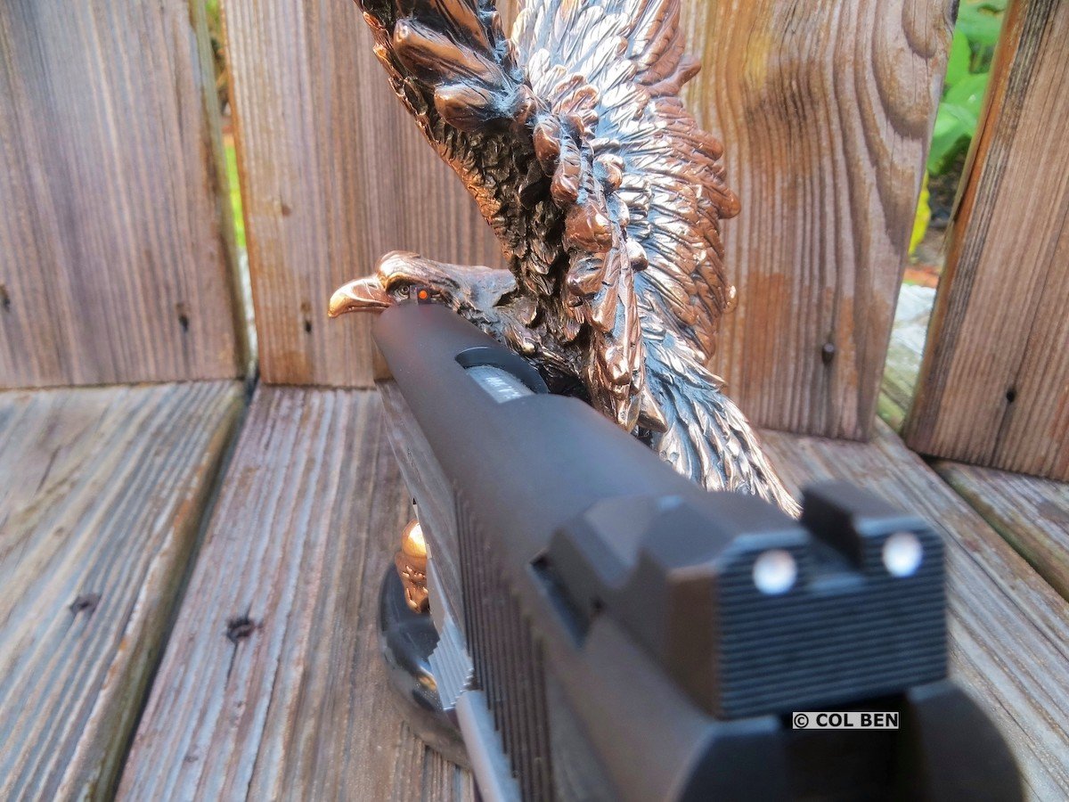 1911 Ronin Sights