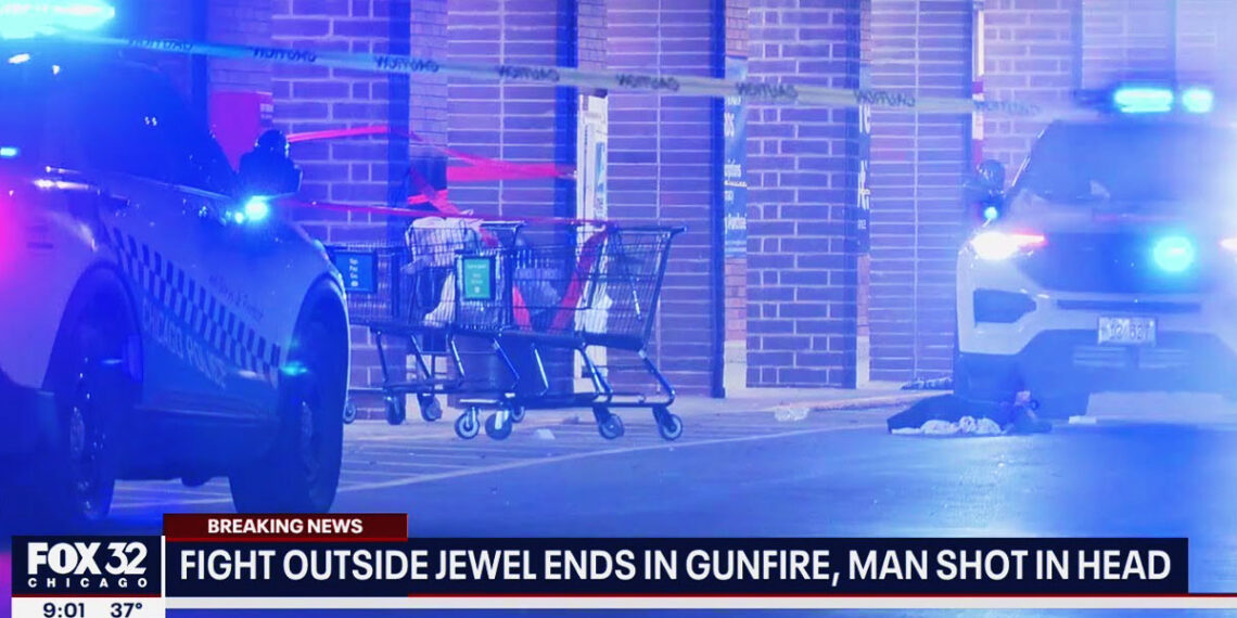 Chicago Concealed Carrier Shoots Attacker in Head