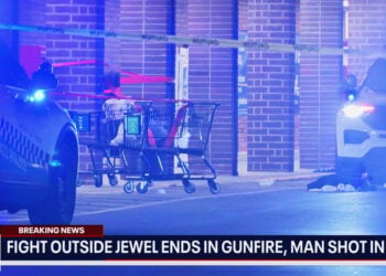 Chicago Concealed Carrier Shoots Attacker in Head