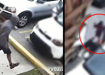 Watch 9-Year-Old Punch Mom's Attacker in the Face